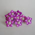 Pure Silver Purple Flowers 6g (Pack of 2)